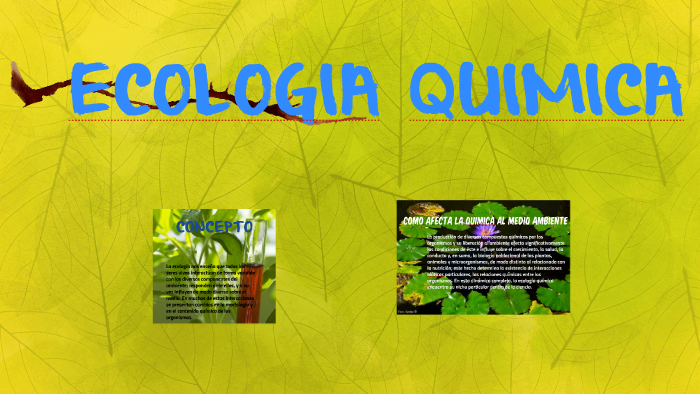 ECOLOGIA QUIMICA by elizabeth ayala on Prezi