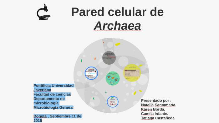 Pared celular de Archaea by on Prezi