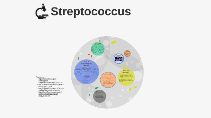 Streptococcus by Stephanie Zepp on Prezi