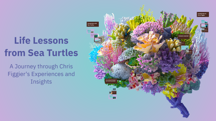 Life Lessons from Sea Turtles by Rhys Brown on Prezi