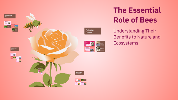 The Essential Role of Bees by Bicness on Prezi