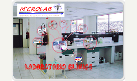 Laboratorio Clinico By Gisella Francia