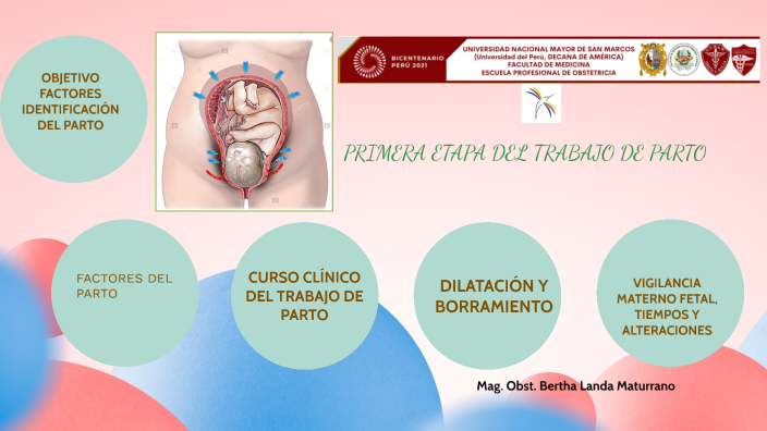 Primera Etapa Del Trabajo De Parto By Bertha Landa On Prezi 