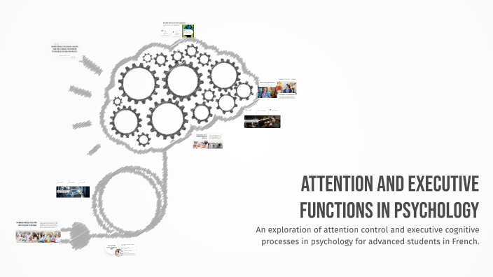 Attention and Executive Functions in Psychology by Yosr Dammak on Prezi