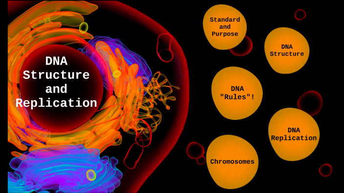 DNA Structure and Replication by Gabrielle Lee Jarrett on Prezi