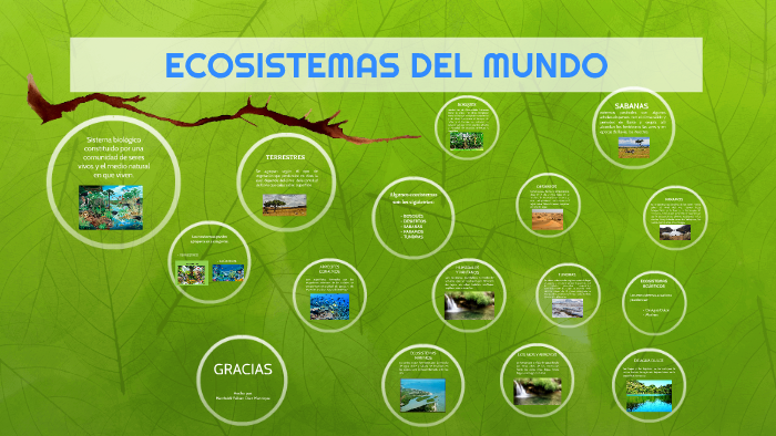 ECOSISTEMAS DEL MUNDO by on Prezi