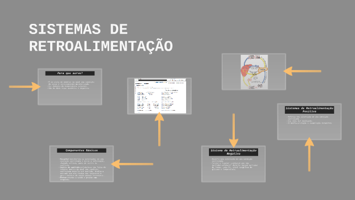 SISTEMAS DE RETROALIMENTAÇÃO by Iara Lima on Prezi