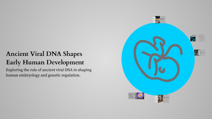 Ancient Viral DNA Shapes Early Human Development by Yasir Hassan on Prezi