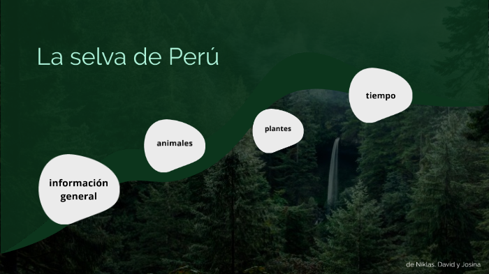 la selva de Perú by josina zillmer on Prezi