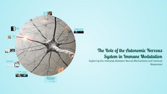 The Role of the Autonomic Nervous System in Immune Modulation by ...