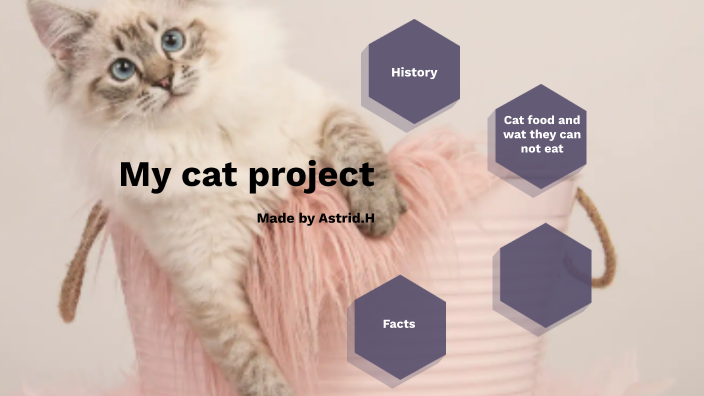 All about Cats by As Ha on Prezi