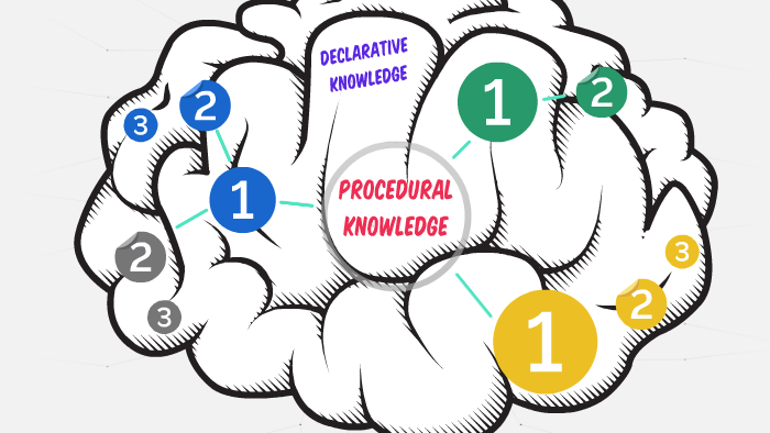 Declarative And Procedural Knowledge by Grace Scheerhorn on Prezi
