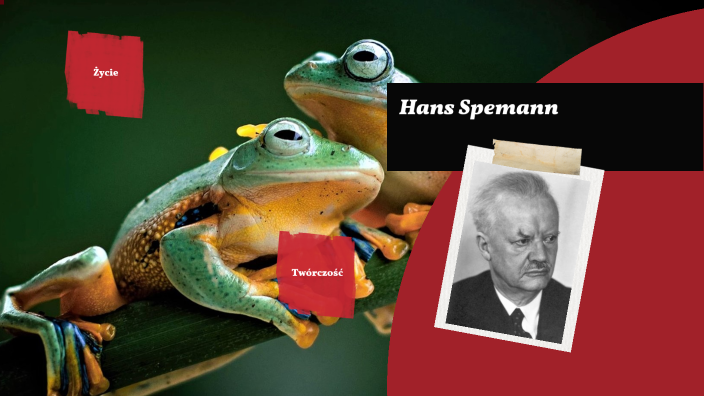 Hans Spemann by Oskar Dobrzeniecki