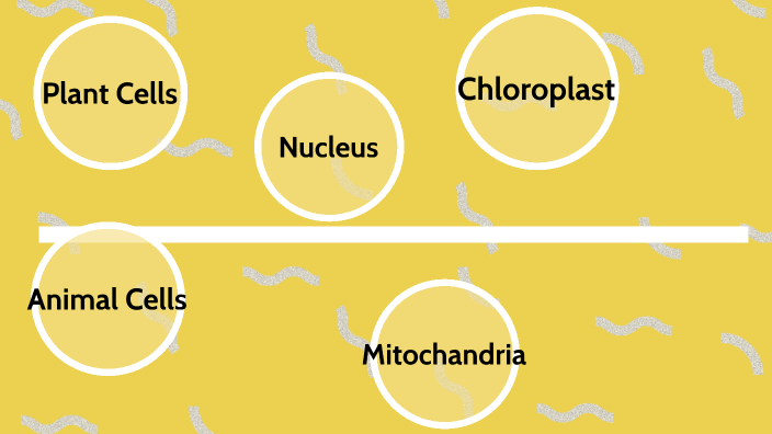 Plant cells and Animal by Charles Lewis (07) on Prezi