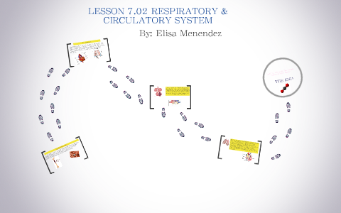 Lesson 07.02 Respiratory and Circulatory by Andrea Junco