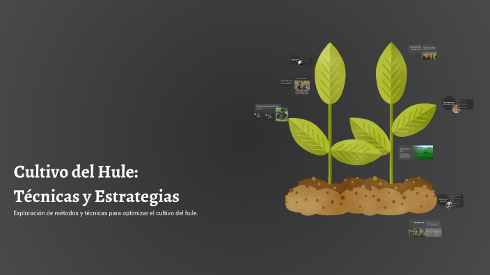 Cultivo del Hule: Técnicas y Estrategias by Julio Juarez on Prezi