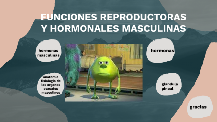 Funciones Reproductoras Y Hormonales Masculinas By Diego Ruiz On Prezi 1495