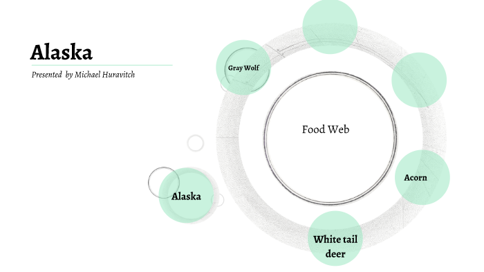 Alaskan Food Web by Michael Huravitch on Prezi