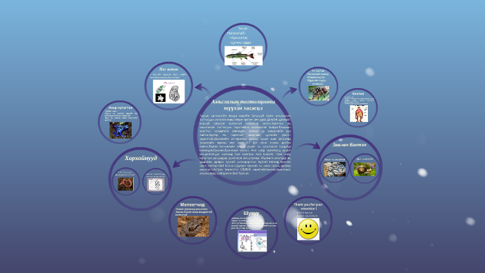 Амьсгалын тогтолцоо by Haliun Bayar on Prezi