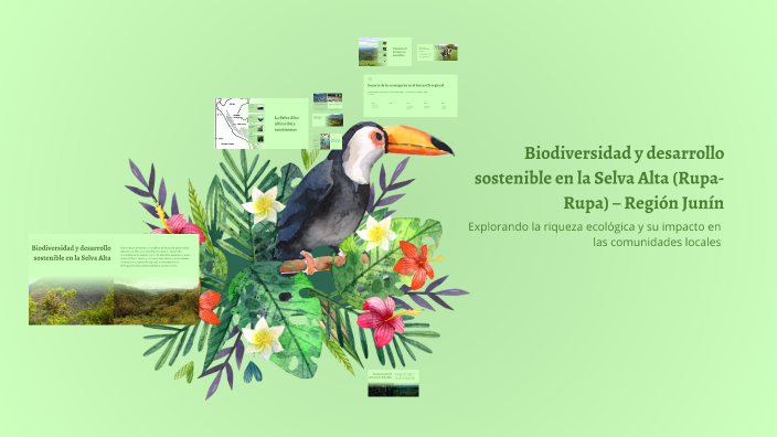 Biodiversidad y desarrollo sostenible en la Selva Alta (Rupa-Rupa ...