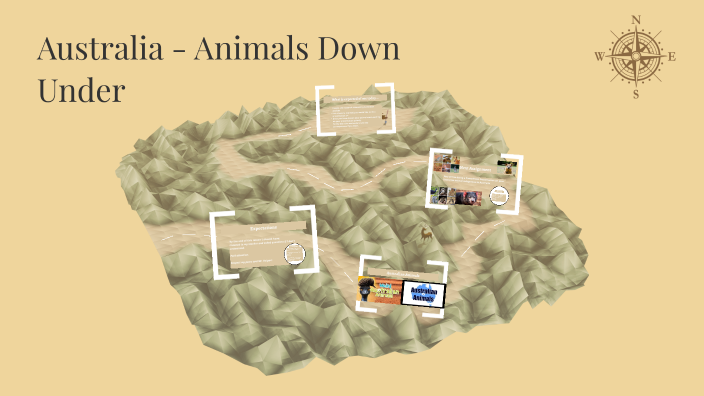 Australian Animals by Cameron Delport on Prezi