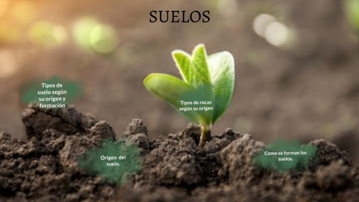 Tipos de suelo según su origen y formación by Carolina Florez on Prezi