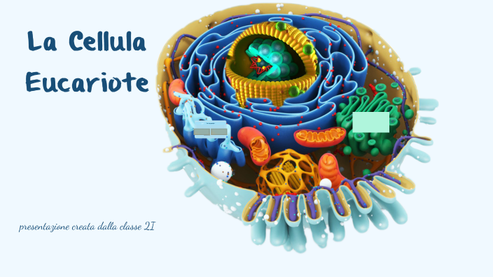 Rappresentazione della Cellula by classe 2i on Prezi
