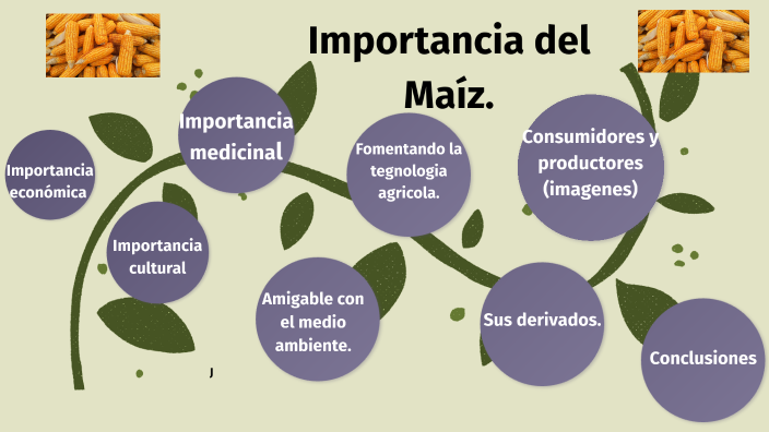 importancia del maíz by Francisco Ruiz on Prezi