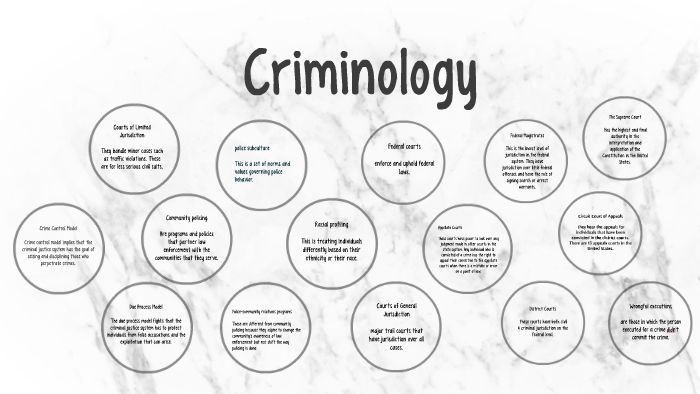 Crime Control Model Visualization crime control model by mana kamrani on Prezi