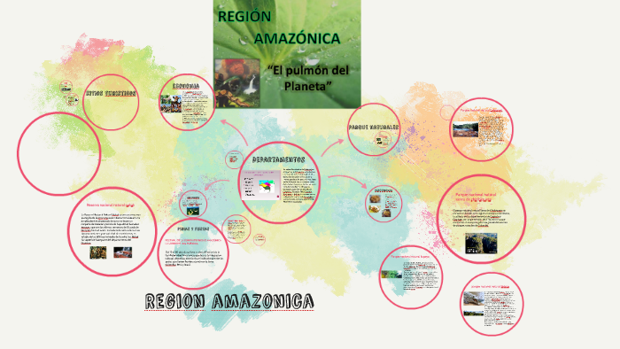 Region amazonica by luis cardona on Prezi