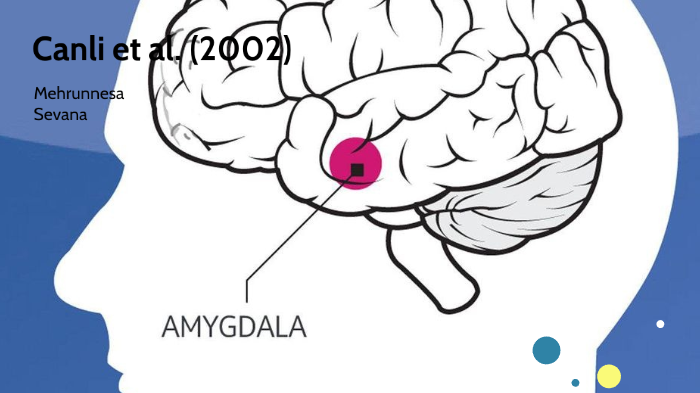 Canli et al. (2002) by sevana mehrunnesa on Prezi