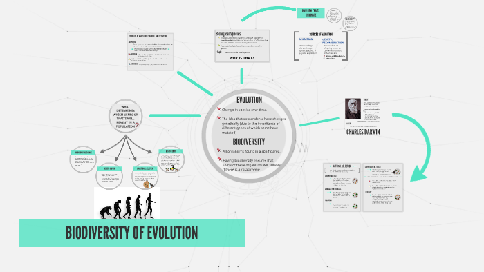 BIODIVERSITY OF EVOLUTION by shanna jan on Prezi