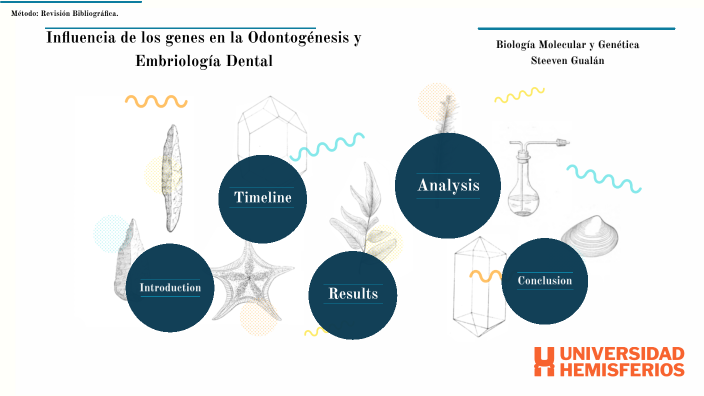 Influencia De Los Genes En La Odontogénesis Y Embriología Dental By Walter Steeven Gualán Guamán 9176