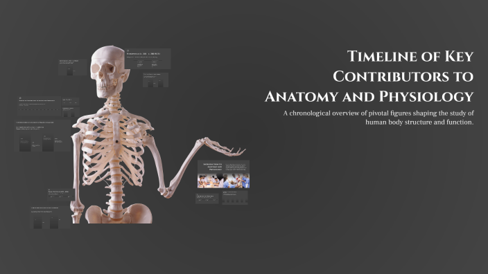 Timeline of Key Contributors to Anatomy and Physiology by adenia small ...