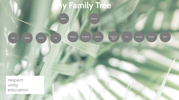 Family Tree Presentation by Alfredo Jimenez on Prezi