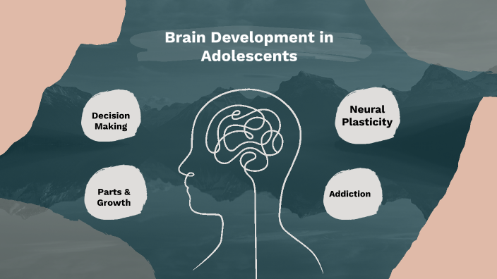 Summit Lesson 2 Brain Development and Addiction by Tyler Barnard on Prezi