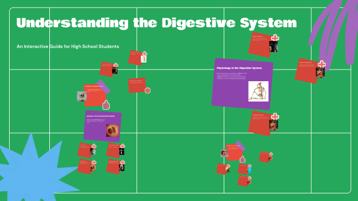 Understanding the Digestive System by Nina Brahmbhatt on Prezi