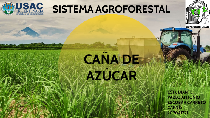 Sistema Agroforestal - Caña by Pablo Escobar on Prezi