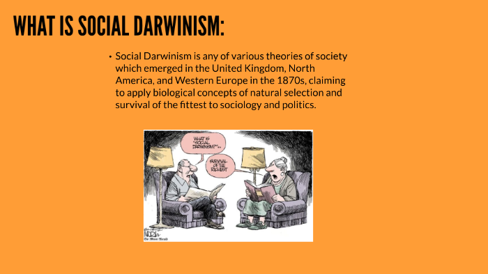 social darwinism political cartoon gilded age