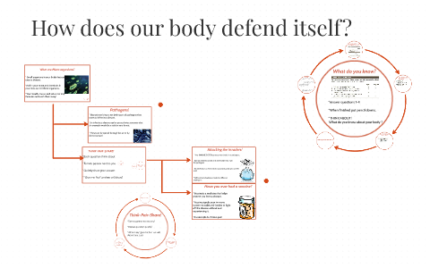 How does out body defend itself? by Amber Thiessen on Prezi