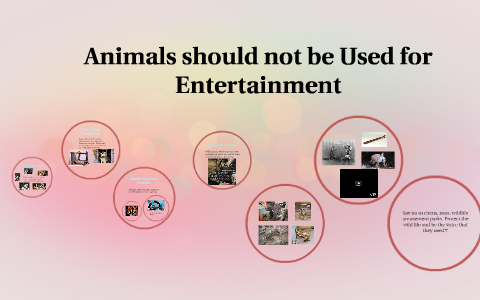 Animals should not be Used for Entertainment by Destiny C. Animals should not be Used for Entertainment by Destiny C.