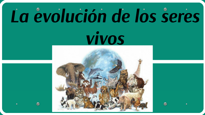 EVOLUCION De Los Seres Vivos