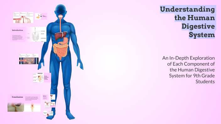 Understanding the Human Digestive System by paloma berrio on Prezi