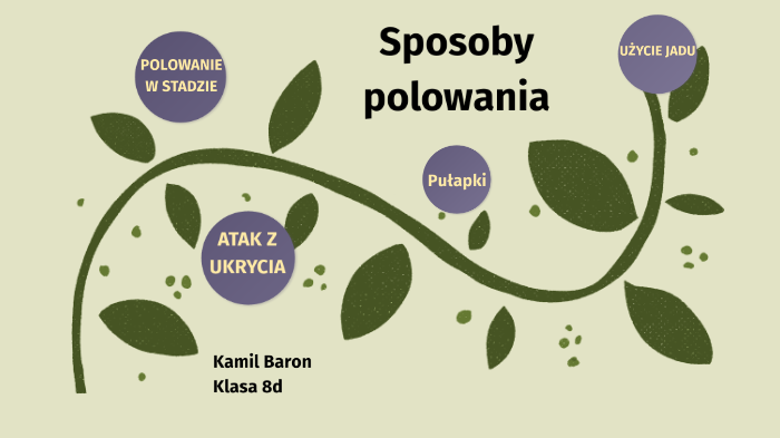 Sposoby Polowania Drapieżników Sposoby polowania by Kmii Broo on Prezi