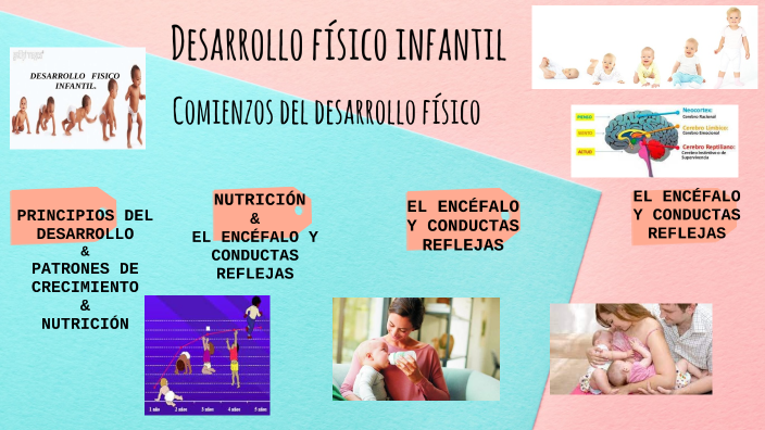 Desarrollo Físico Infantil Parte.1 By Anayeli Quintana On Prezi