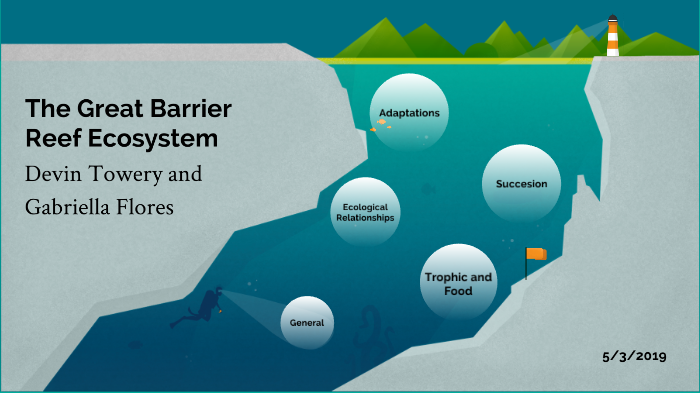 Great Barrier Reef Ecosystem by gaby Flores