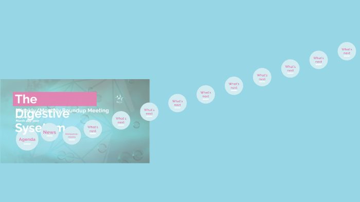 The Digestive System by anali gomez on Prezi