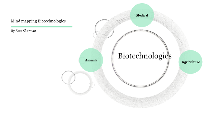 Biotechnology Mindmap By Zara Sharman On Prezi Biotechnology Mindmap By Zara Sharman On Prezi