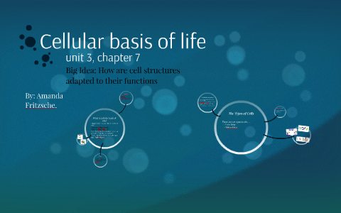 Cellular basis of life by Amanda F on Prezi