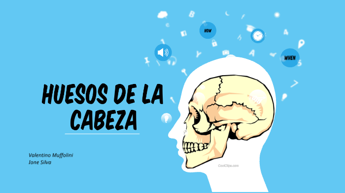 Huesos del cerebro by Ione Silva on Prezi